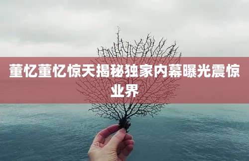 董忆董忆惊天揭秘独家内幕曝光震惊业界