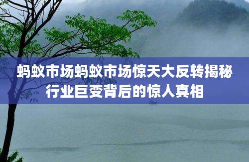 蚂蚁市场蚂蚁市场惊天大反转揭秘行业巨变背后的惊人真相