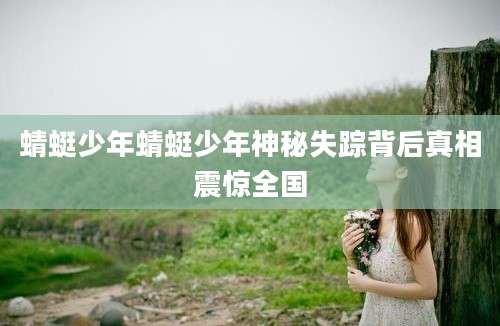 蜻蜓少年蜻蜓少年神秘失踪背后真相震惊全国