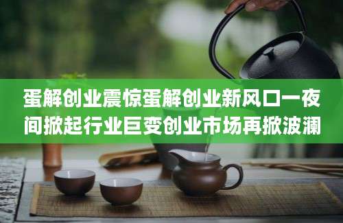 蛋解创业震惊蛋解创业新风口一夜间掀起行业巨变创业市场再掀波澜