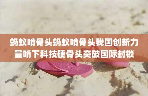 蚂蚁啃骨头蚂蚁啃骨头我国创新力量啃下科技硬骨头突破国际封锁