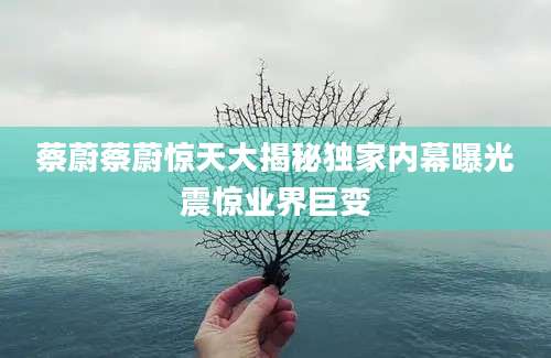 蔡蔚蔡蔚惊天大揭秘独家内幕曝光震惊业界巨变