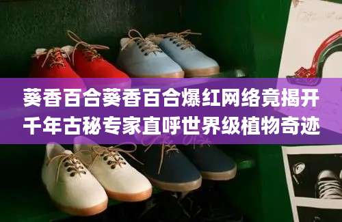 葵香百合葵香百合爆红网络竟揭开千年古秘专家直呼世界级植物奇迹