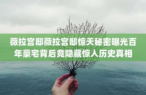 薇拉宫邸薇拉宫邸惊天秘密曝光百年豪宅背后竟隐藏惊人历史真相