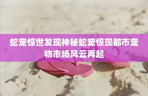 蛇宠惊世发现神秘蛇宠惊现都市宠物市场风云再起