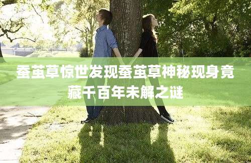 蚕茧草惊世发现蚕茧草神秘现身竟藏千百年未解之谜