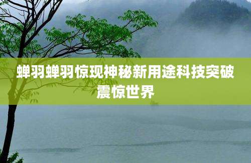 蝉羽蝉羽惊现神秘新用途科技突破震惊世界