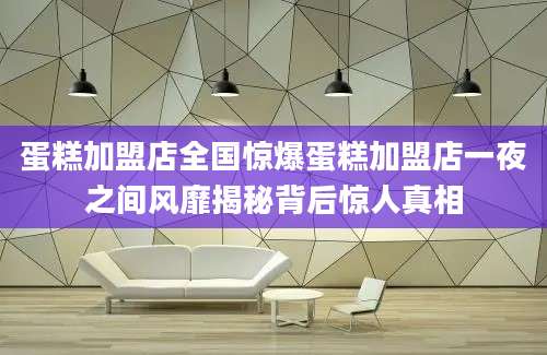 蛋糕加盟店全国惊爆蛋糕加盟店一夜之间风靡揭秘背后惊人真相