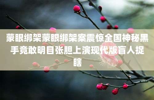 蒙眼绑架蒙眼绑架案震惊全国神秘黑手竟敢明目张胆上演现代版盲人捉瞎