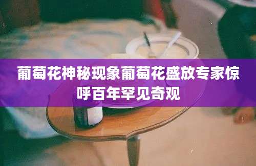 葡萄花神秘现象葡萄花盛放专家惊呼百年罕见奇观