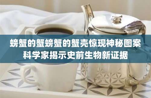 螃蟹的蟹螃蟹的蟹壳惊现神秘图案科学家揭示史前生物新证据