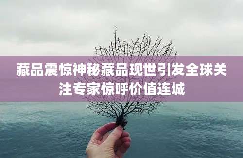 藏品震惊神秘藏品现世引发全球关注专家惊呼价值连城