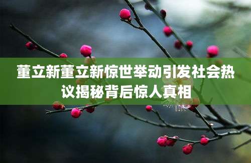董立新董立新惊世举动引发社会热议揭秘背后惊人真相