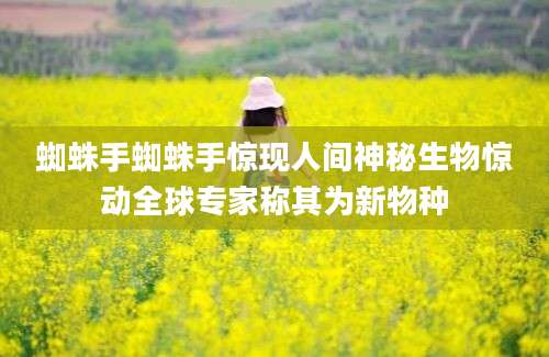蜘蛛手蜘蛛手惊现人间神秘生物惊动全球专家称其为新物种