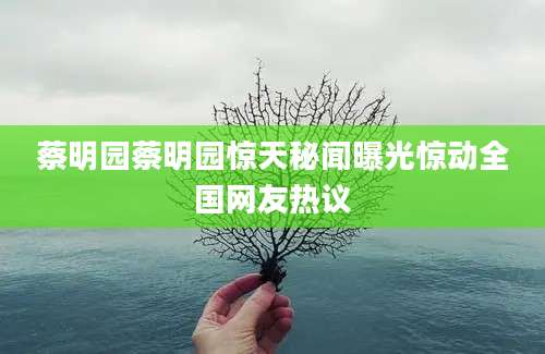 蔡明园蔡明园惊天秘闻曝光惊动全国网友热议