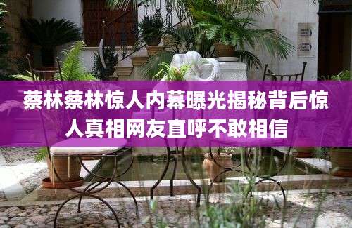 蔡林蔡林惊人内幕曝光揭秘背后惊人真相网友直呼不敢相信