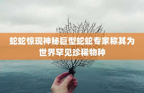 蛇蛇惊现神秘巨型蛇蛇专家称其为世界罕见珍稀物种
