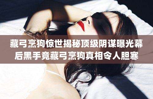 藏弓烹狗惊世揭秘顶级阴谋曝光幕后黑手竟藏弓烹狗真相令人胆寒