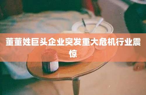 董董姓巨头企业突发重大危机行业震惊