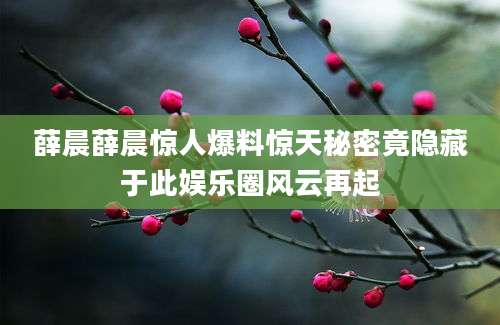 薛晨薛晨惊人爆料惊天秘密竟隐藏于此娱乐圈风云再起