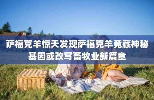 萨福克羊惊天发现萨福克羊竟藏神秘基因或改写畜牧业新篇章