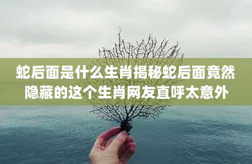 蛇后面是什么生肖揭秘蛇后面竟然隐藏的这个生肖网友直呼太意外