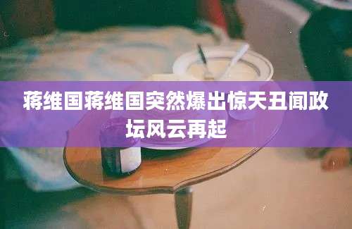 蒋维国蒋维国突然爆出惊天丑闻政坛风云再起