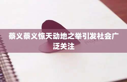 蔡义蔡义惊天动地之举引发社会广泛关注