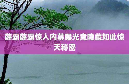 薛霸薛霸惊人内幕曝光竟隐藏如此惊天秘密