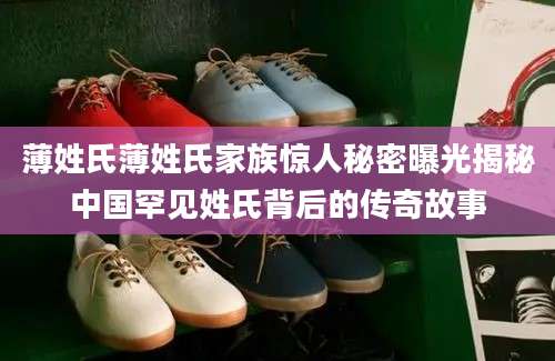 薄姓氏薄姓氏家族惊人秘密曝光揭秘中国罕见姓氏背后的传奇故事