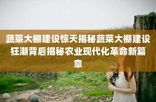 蔬菜大棚建设惊天揭秘蔬菜大棚建设狂潮背后揭秘农业现代化革命新篇章