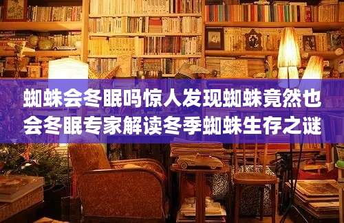 蜘蛛会冬眠吗惊人发现蜘蛛竟然也会冬眠专家解读冬季蜘蛛生存之谜