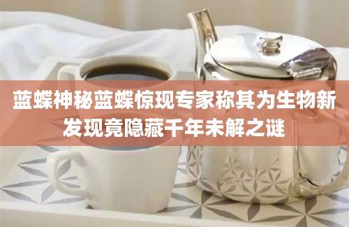 蓝蝶神秘蓝蝶惊现专家称其为生物新发现竟隐藏千年未解之谜