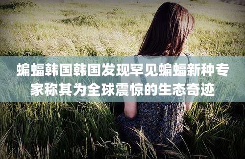 蝙蝠韩国韩国发现罕见蝙蝠新种专家称其为全球震惊的生态奇迹