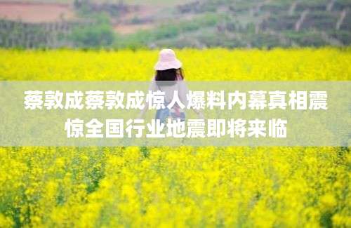 蔡敦成蔡敦成惊人爆料内幕真相震惊全国行业地震即将来临